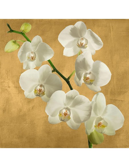 Orquídeas sobre fondo dorado I