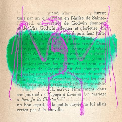 Recuerdos de lo salvaje II