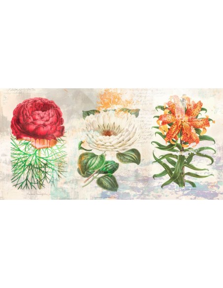 Hortus Botanicus 2.0