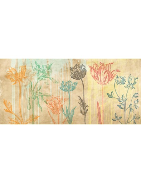 Botaniques Cochin 2 (colores)