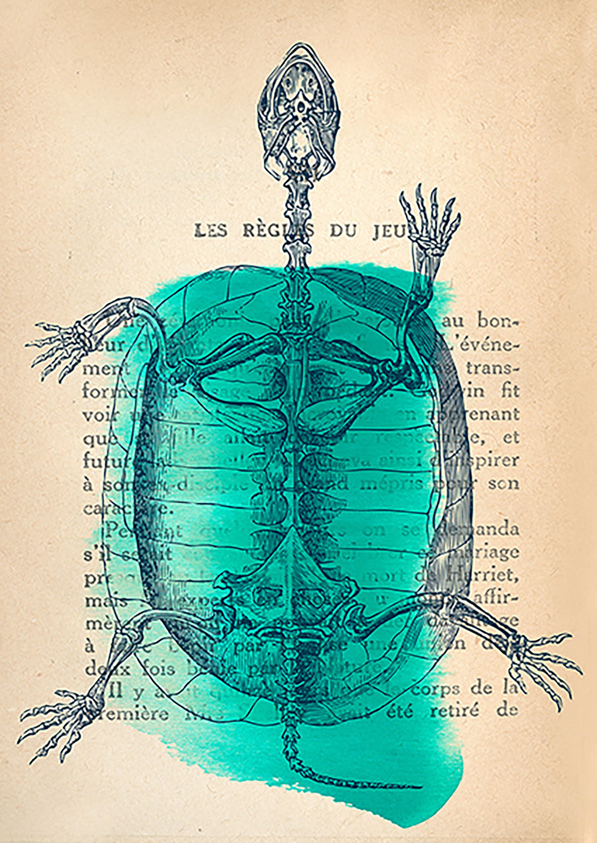 Recuerdos de lo salvaje I