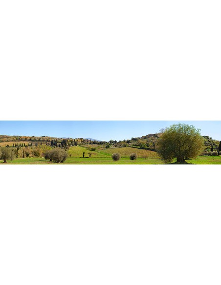 Valle de Orcia, Siena, Toscana