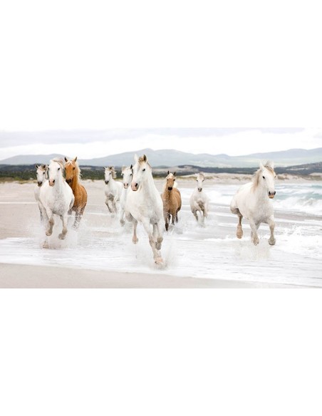 Caballos en la playa (detalle)