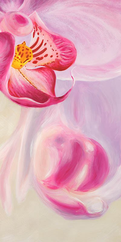 Orquídeas púrpuras III