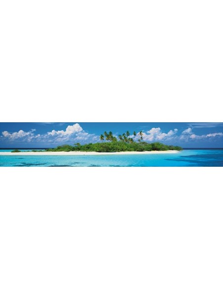 Coral Atoll near Maldives Island detail