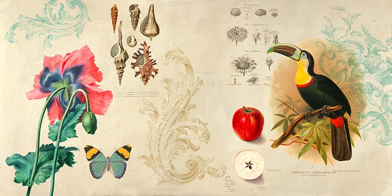 Gabinete de Curiosidades II