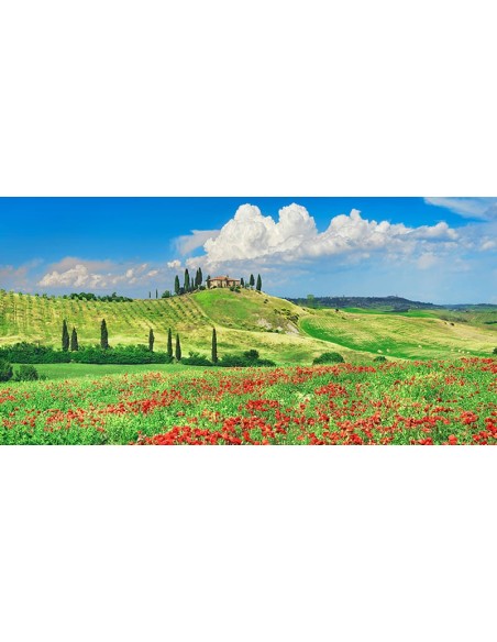 Casa rural con cipreses y amapolas, Val d'Orcia, Toscana