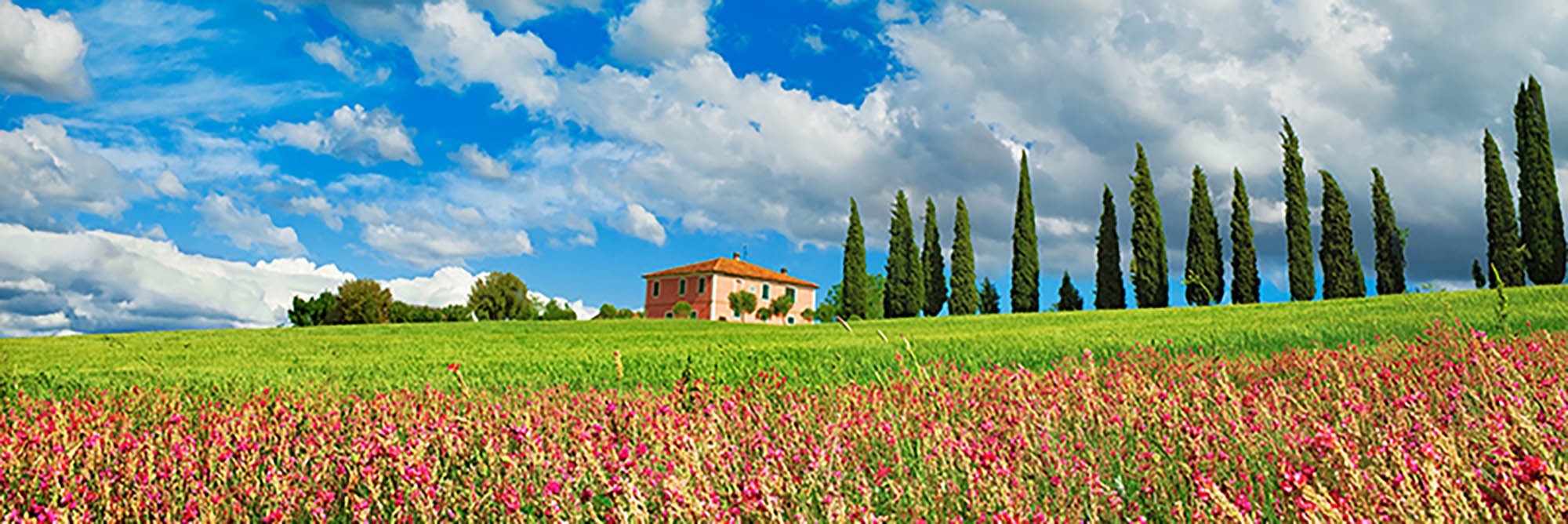 Paisaje con callejón de cipreses y esparcetas, San Quirico d'Orcia, Toscana