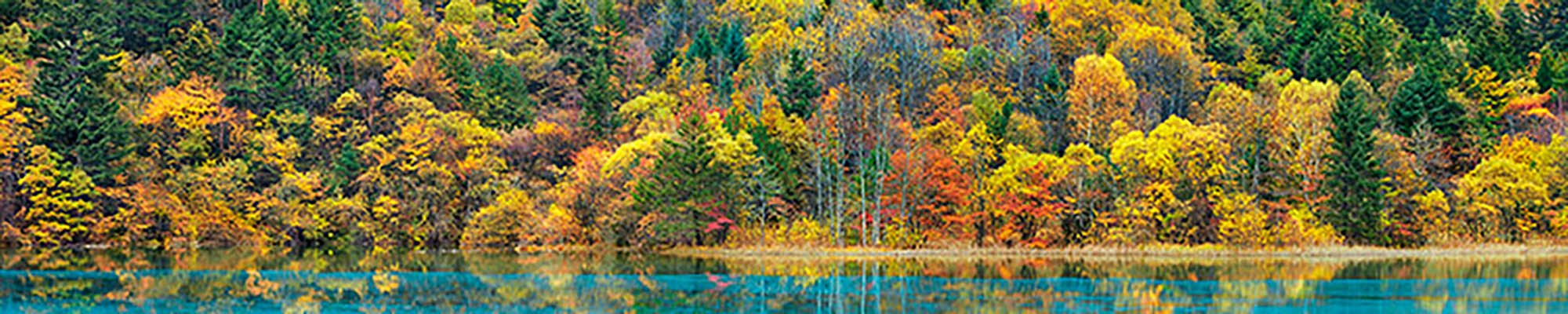 Lago y bosque en otoño, China