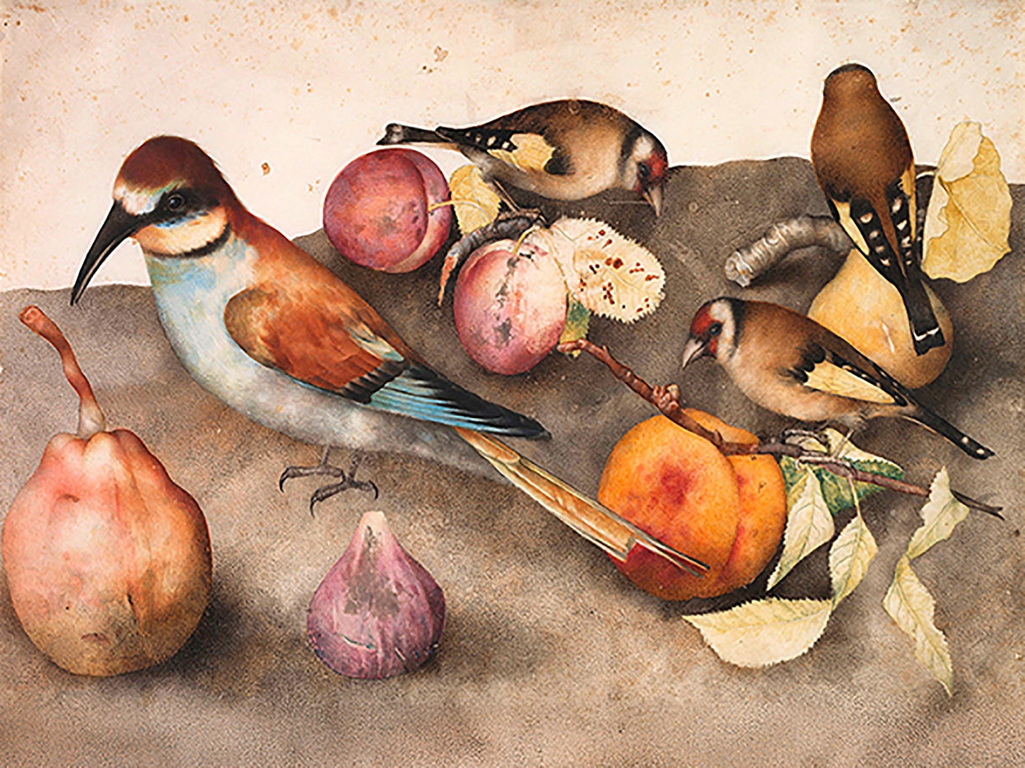 Naturaleza muerta con pájaros y frutas, c. 1650