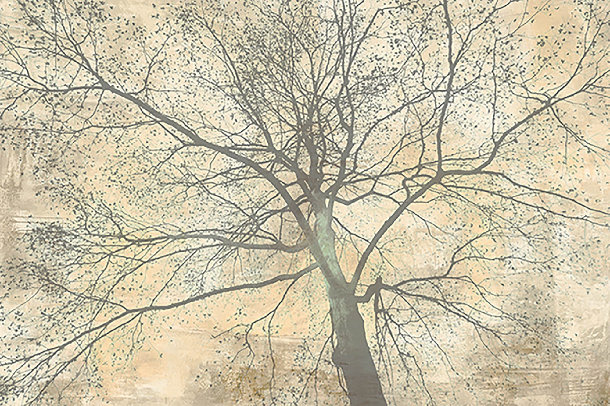 Debajo de mi árbol II