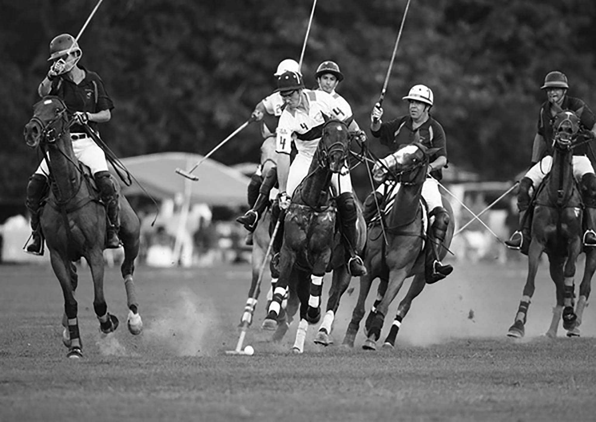 Jugadores de polo, Nueva York