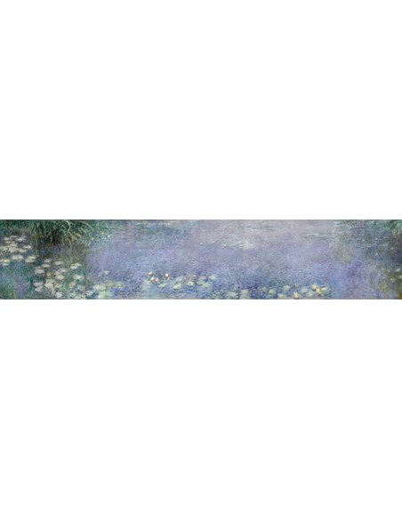 The Water Lilies Morning