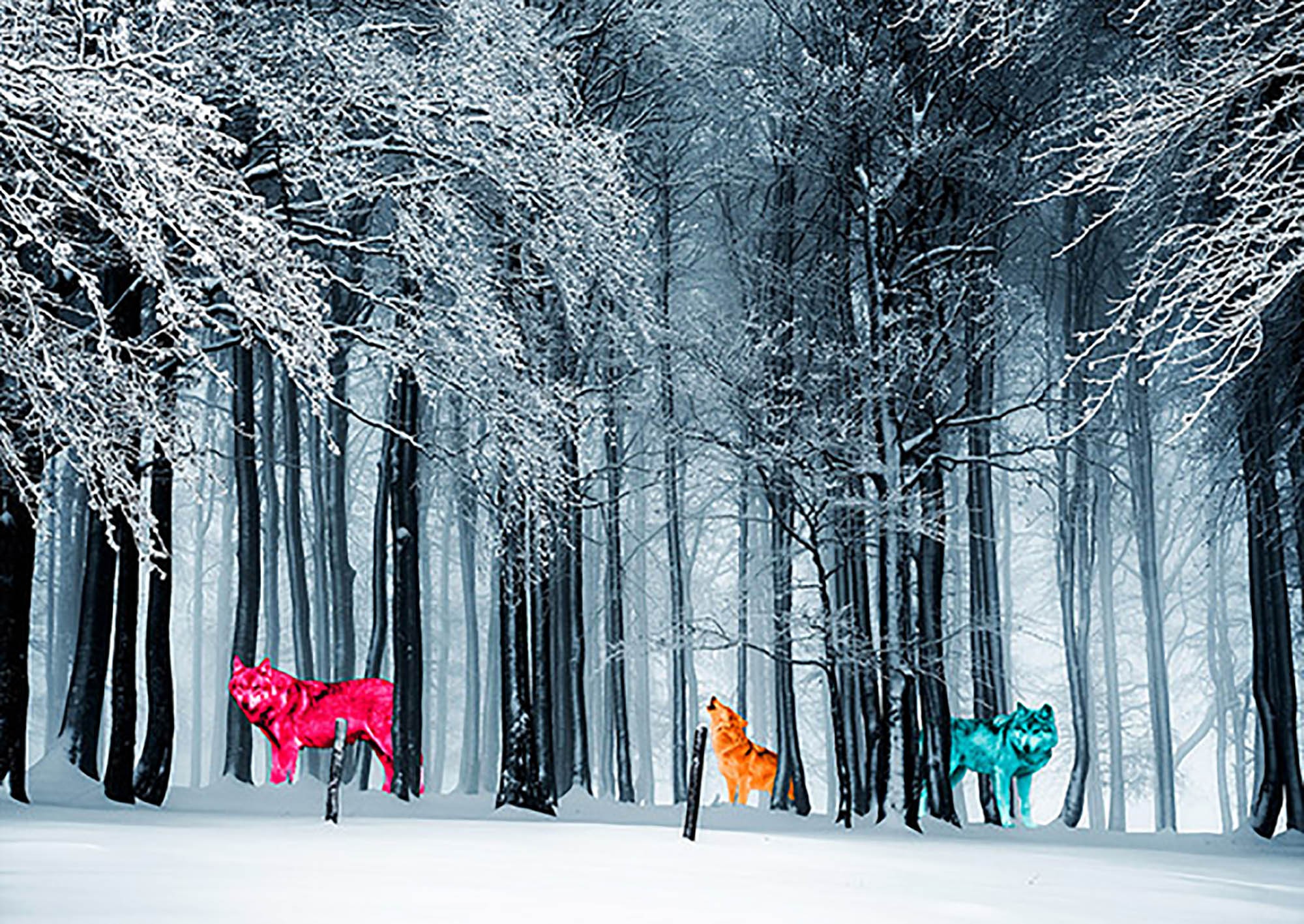 Reyes de la Frontera Salvaje