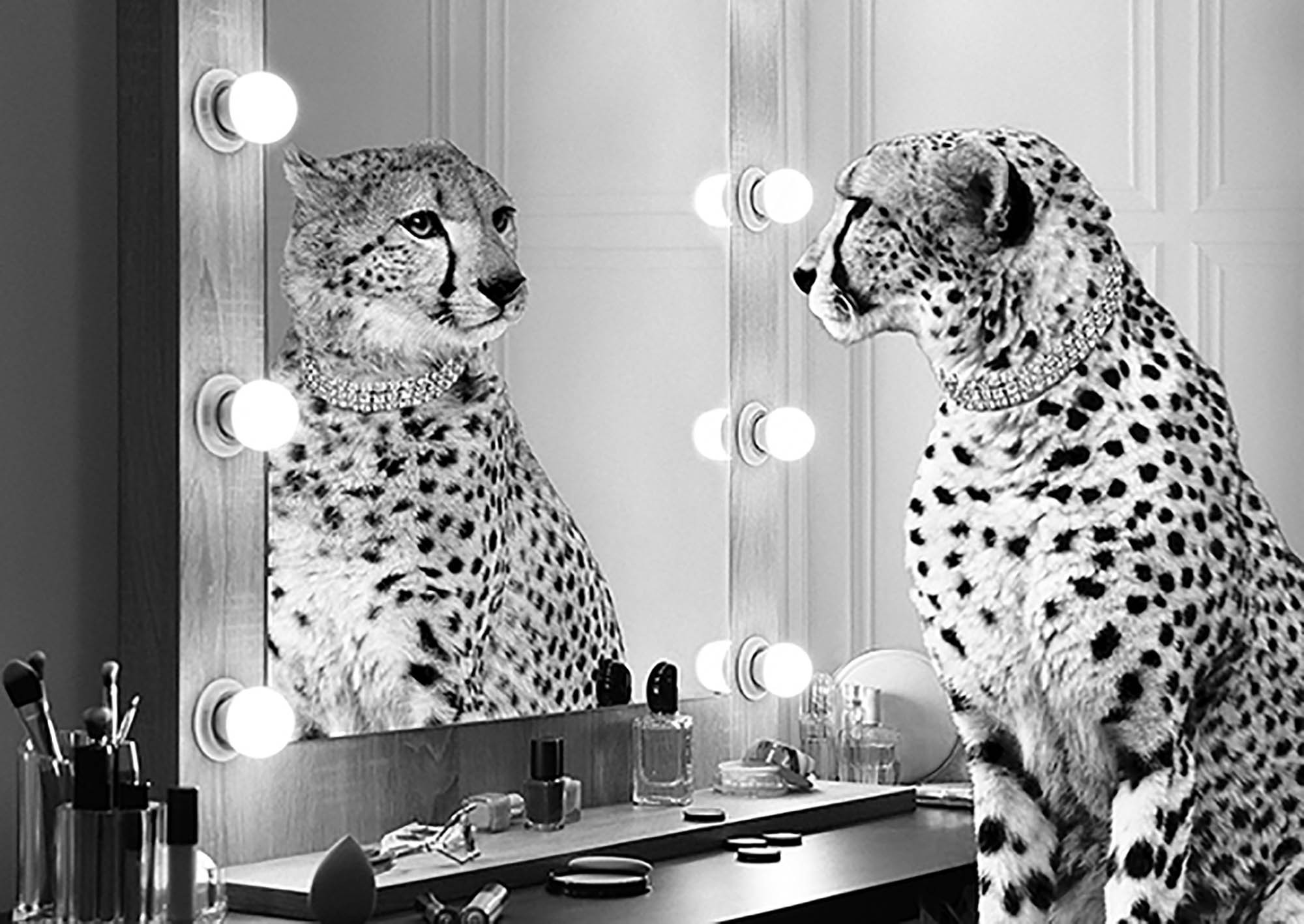 Belleza salvaje (BW)