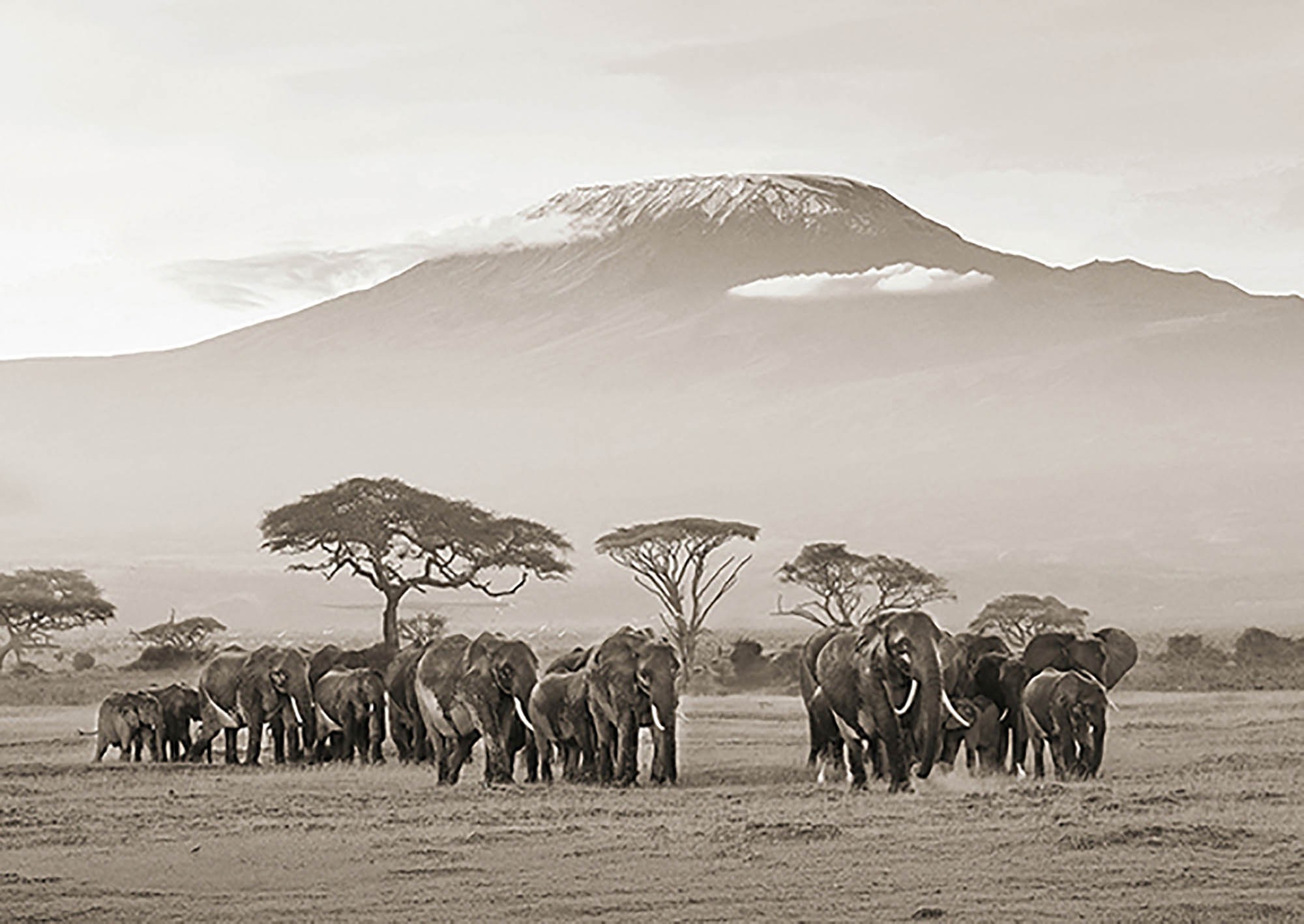 Kenia, Parque Nacional Amboseli