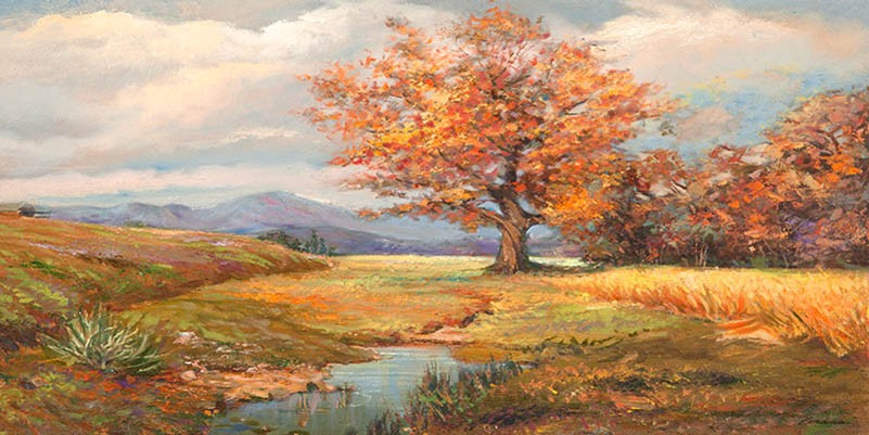 Primavera en el claro