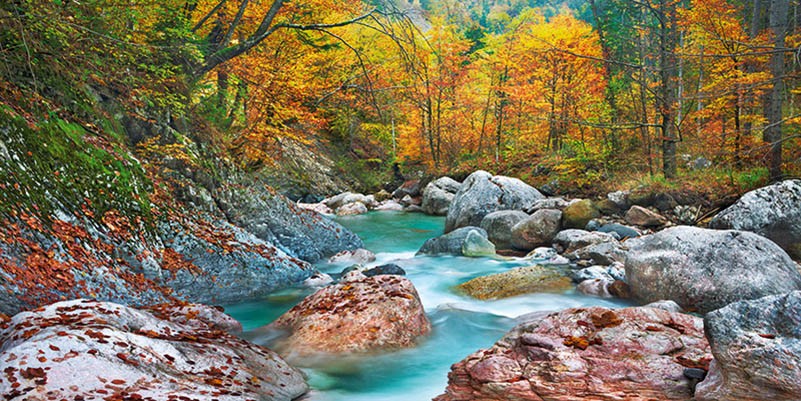 Arroyo de montaña y rocas, Carintia, Austria
