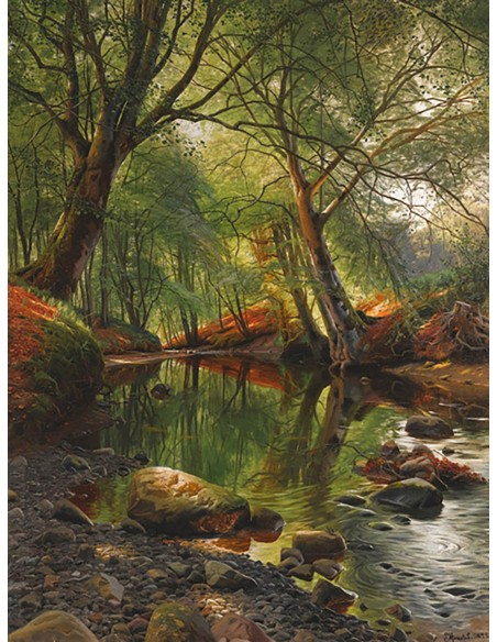 Un arroyo en el bosque