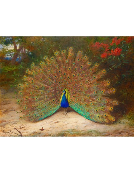 Pavo real y mariposa pavo real