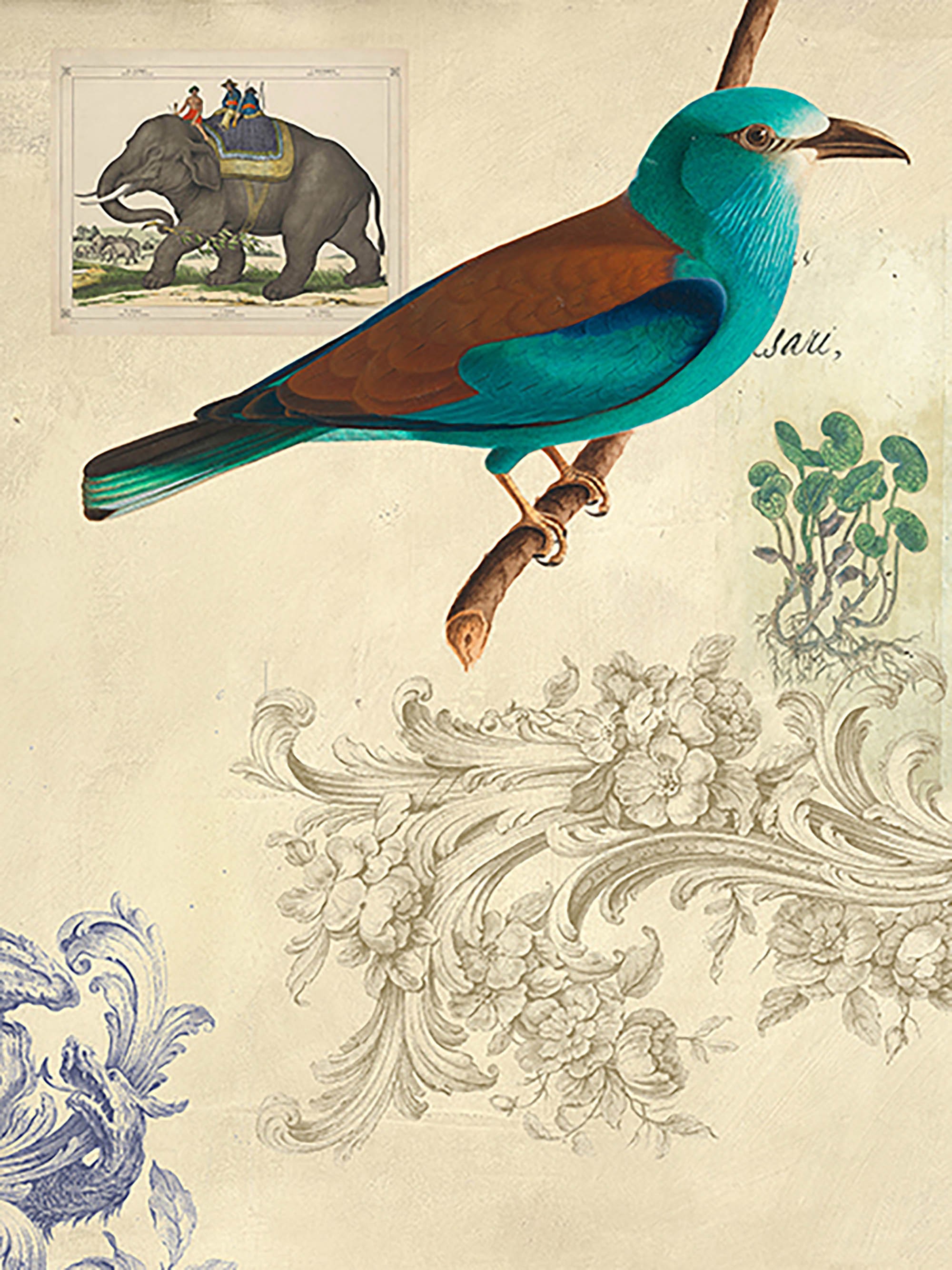 Gabinete de Curiosidades No. 2