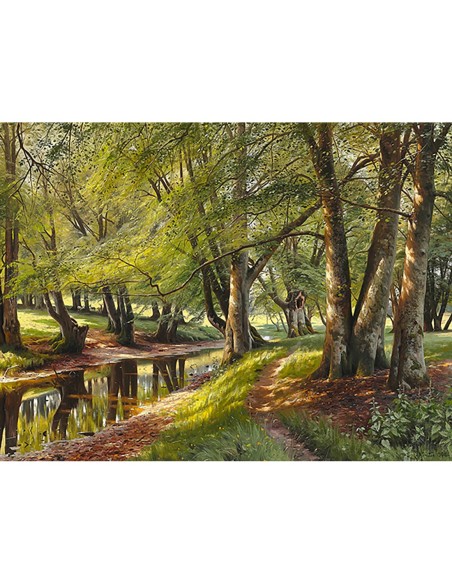 Un día de verano en el bosque.