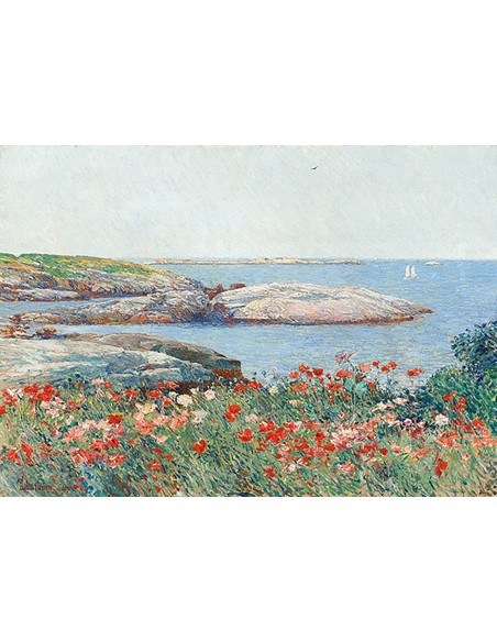 Amapolas, Islas de Shoals