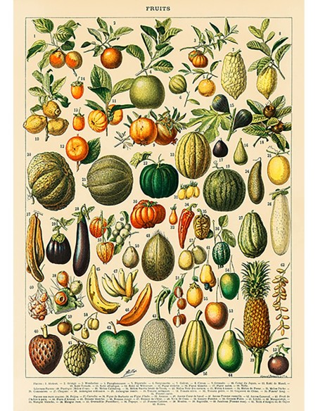 Frutas y verduras