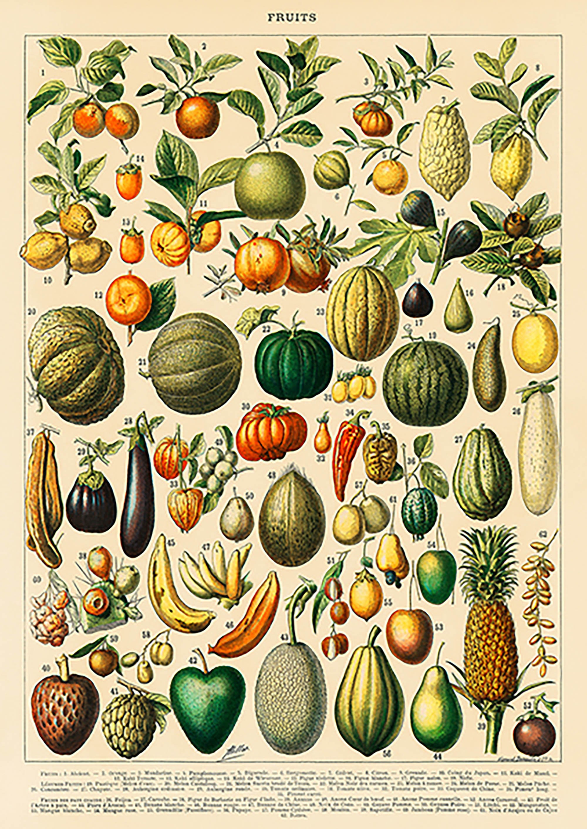 Frutas y verduras