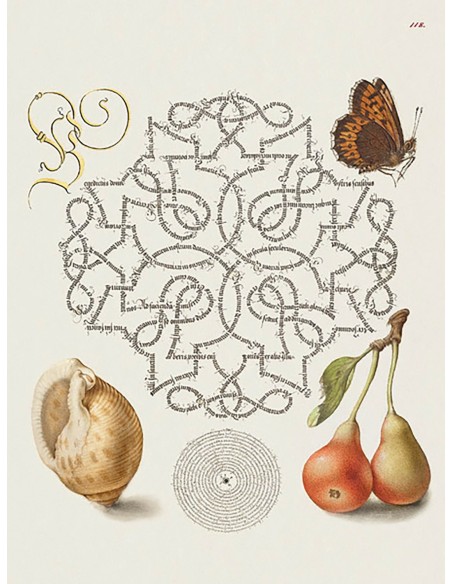 Del Libro Modelo de Caligrafía, IV