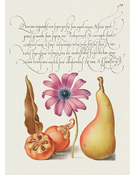 Del Libro Modelo de Caligrafía, VIII