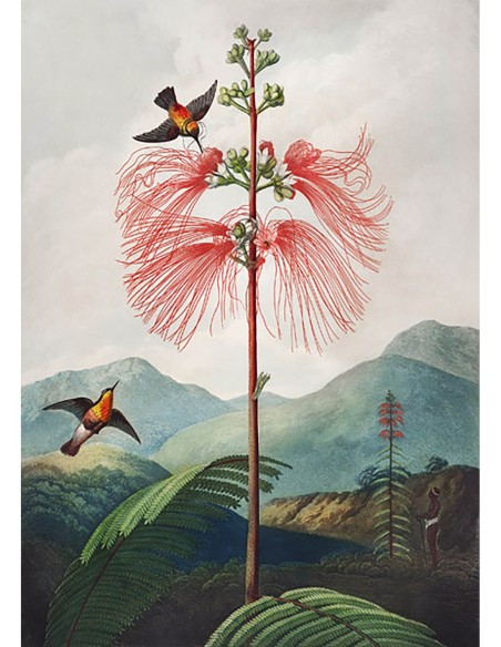 Planta Sensible del Templo de la Flora