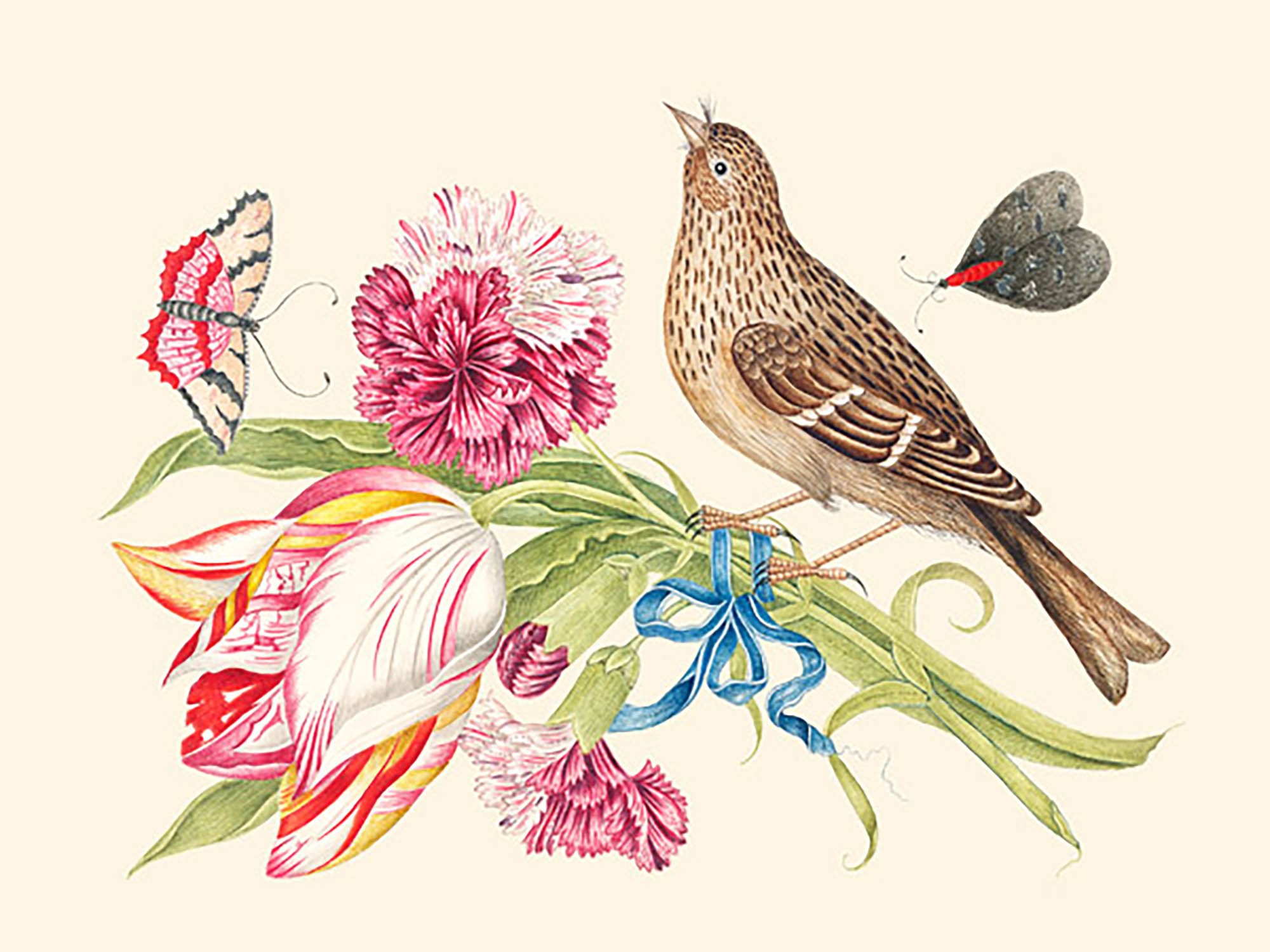 Ramo de claveles y tulipanes