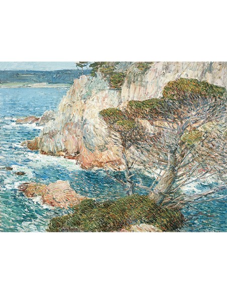 Point Lobos, Carmel