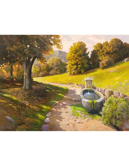 Camino a través del bosque