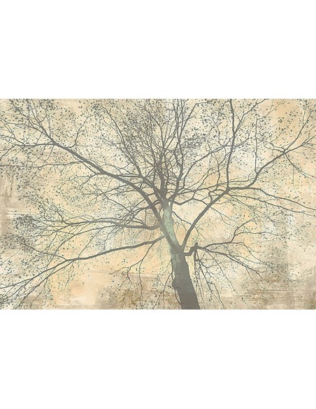 Debajo de mi árbol II