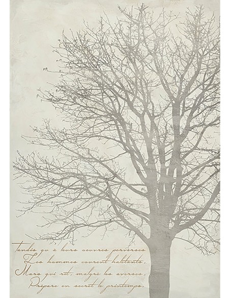 El árbol de Gautier II