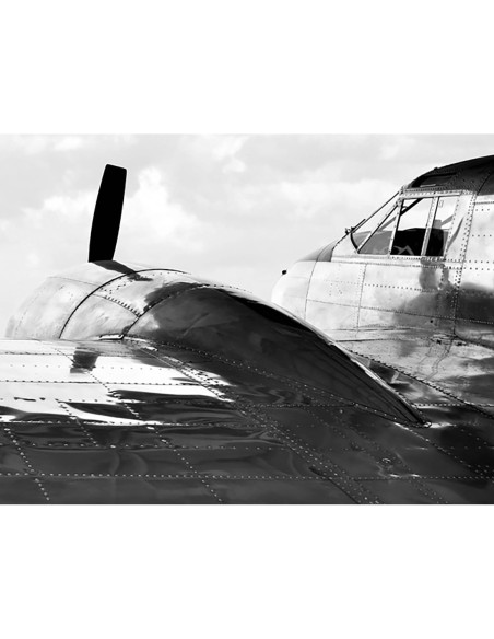 Aviones antiguos (detalle)