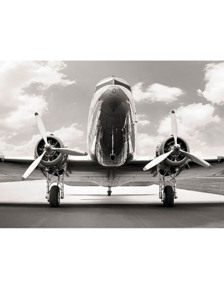 DC 3 clásico en el aeródromo