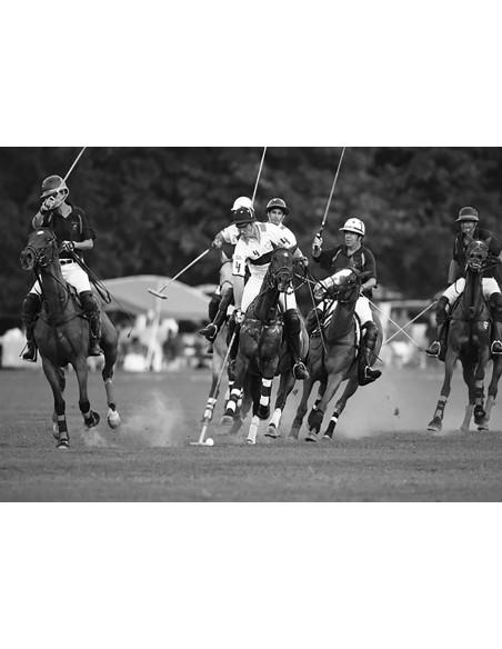 Jugadores de polo, Nueva York