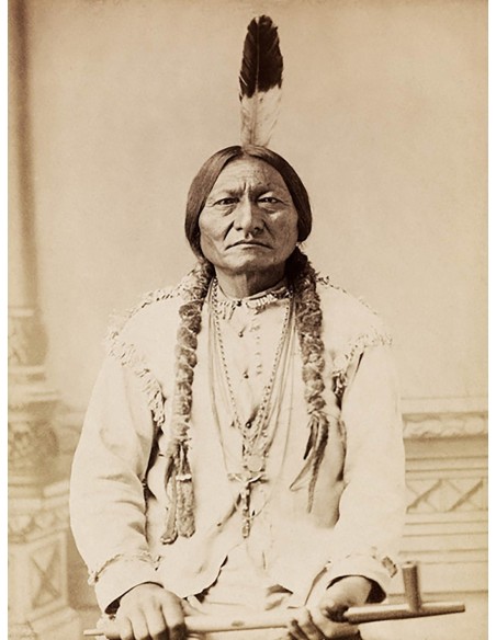 Toro Sentado, Lakota, 1885