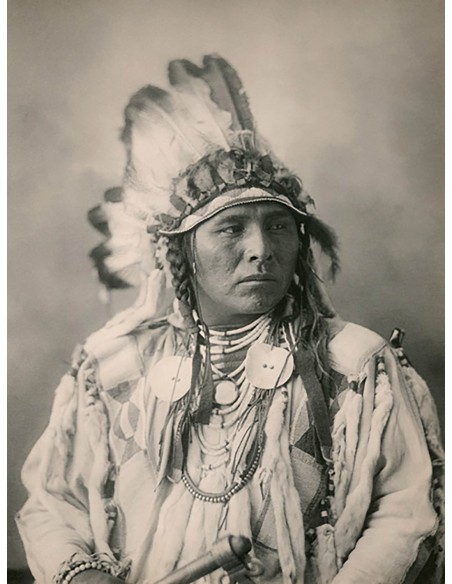 Liebre moteada, cuervo, 1898