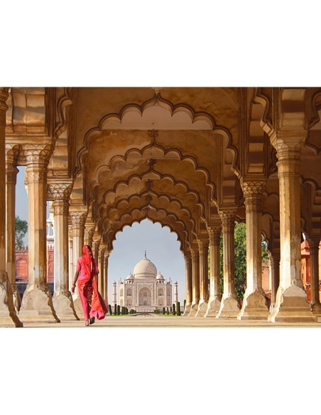 Mujer con sari tradicional caminando hacia el Taj Mahal