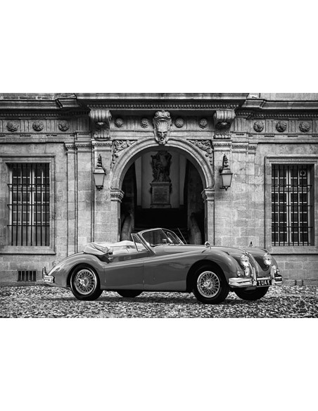 Coche de lujo frente al Palacio Clásico (BW)