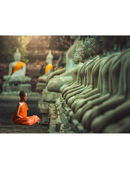 Joven monje budista rezando, Tailandia