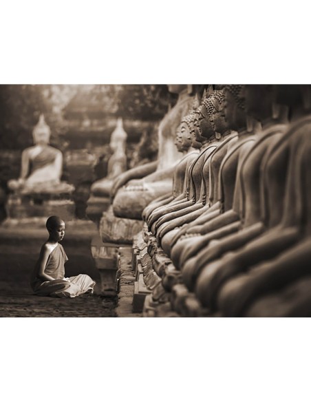 Joven monje budista rezando, Tailandia (sepia)