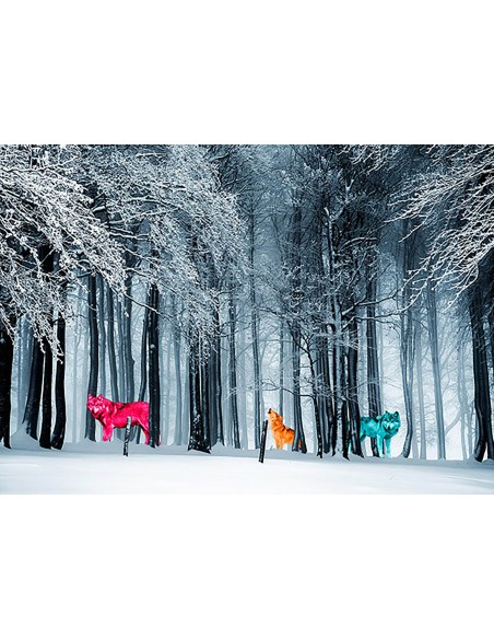 Reyes de la Frontera Salvaje