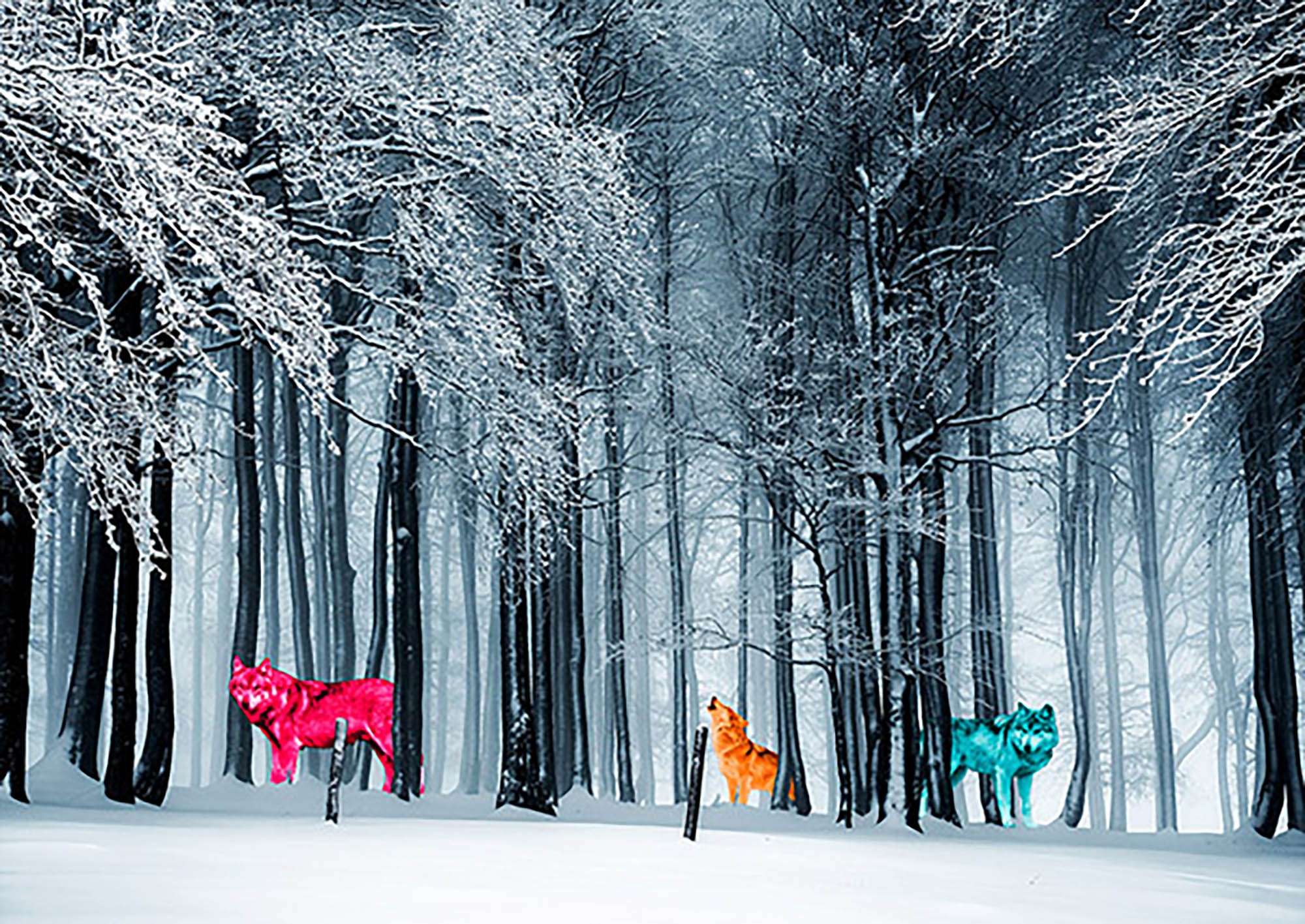 Reyes de la Frontera Salvaje