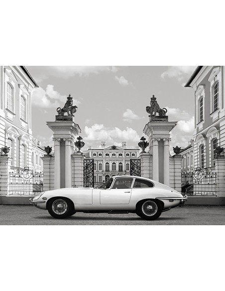 Princesa en el Palacio (detalle)