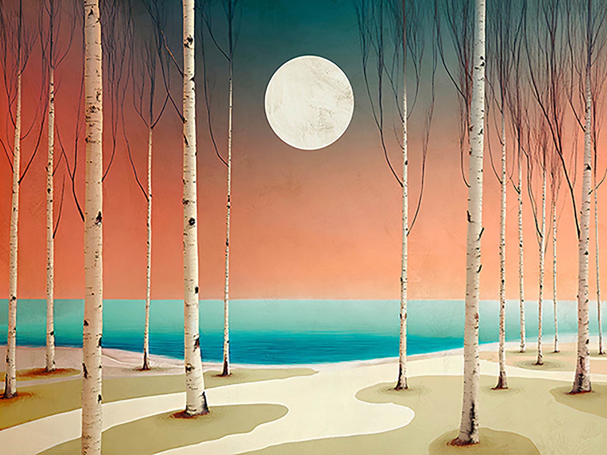 Calma a la luz de la luna